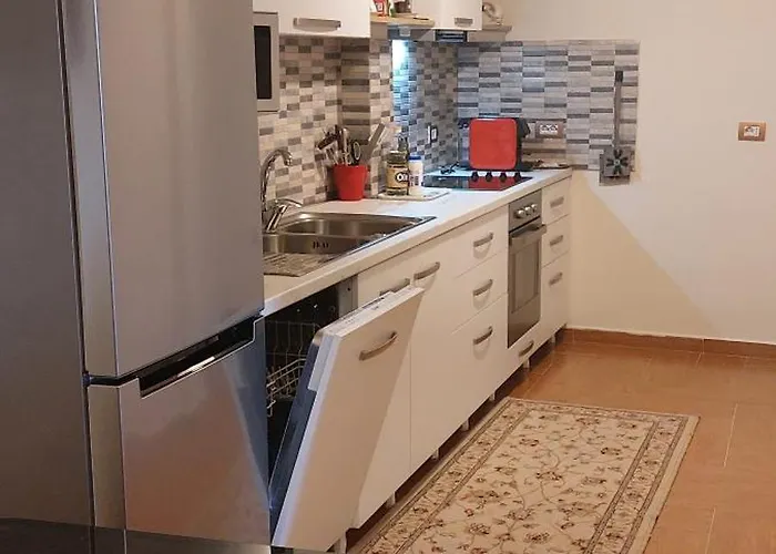 Oasis In The Heart Of Apartament