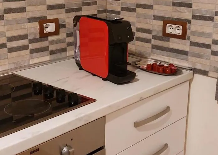 Oasis In The Heart Of Apartament *