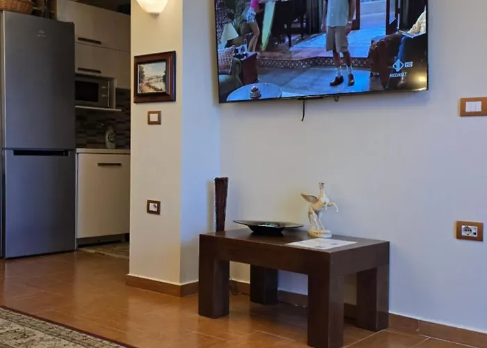 Oasis In The Heart Of ティラナ